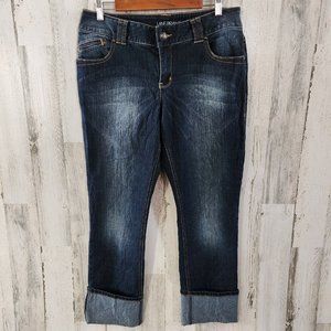 Lane Bryant Women's Size 14 Blue Cropped Dark Wash Cotton Blend Stretch Jeans